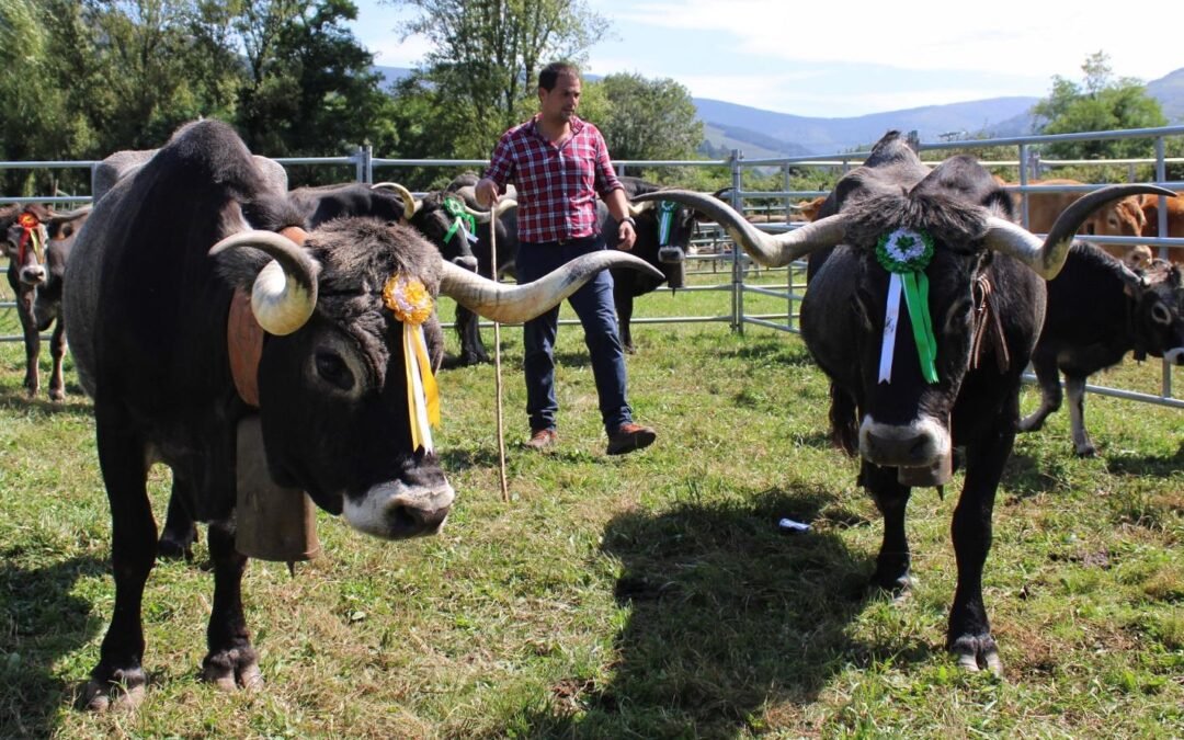 Las Ferias Ganaderas