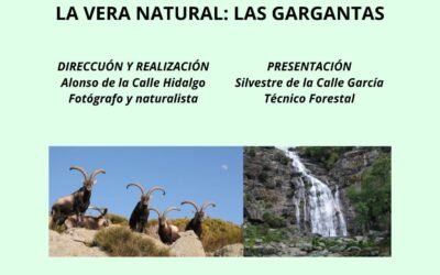 Proyección de Documentales: