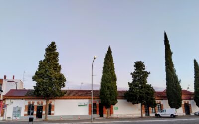 50 Aniversario de la Fundación de APROSUBA-8 MONTIJO