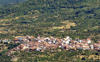 Cuando las raíces sostienen el futuro: Lecciones desde Casas del Castañar