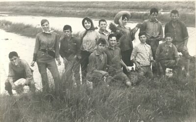 1965. CULTIVO DEL ARROZ EN MADRIGALEJO