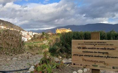 Rebollar, un mirador de excepción en el Valle del Jerte