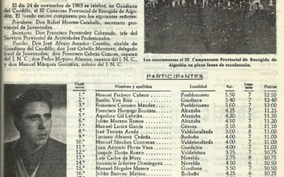 Concurso provincial de recogida de algodón (año 1963)