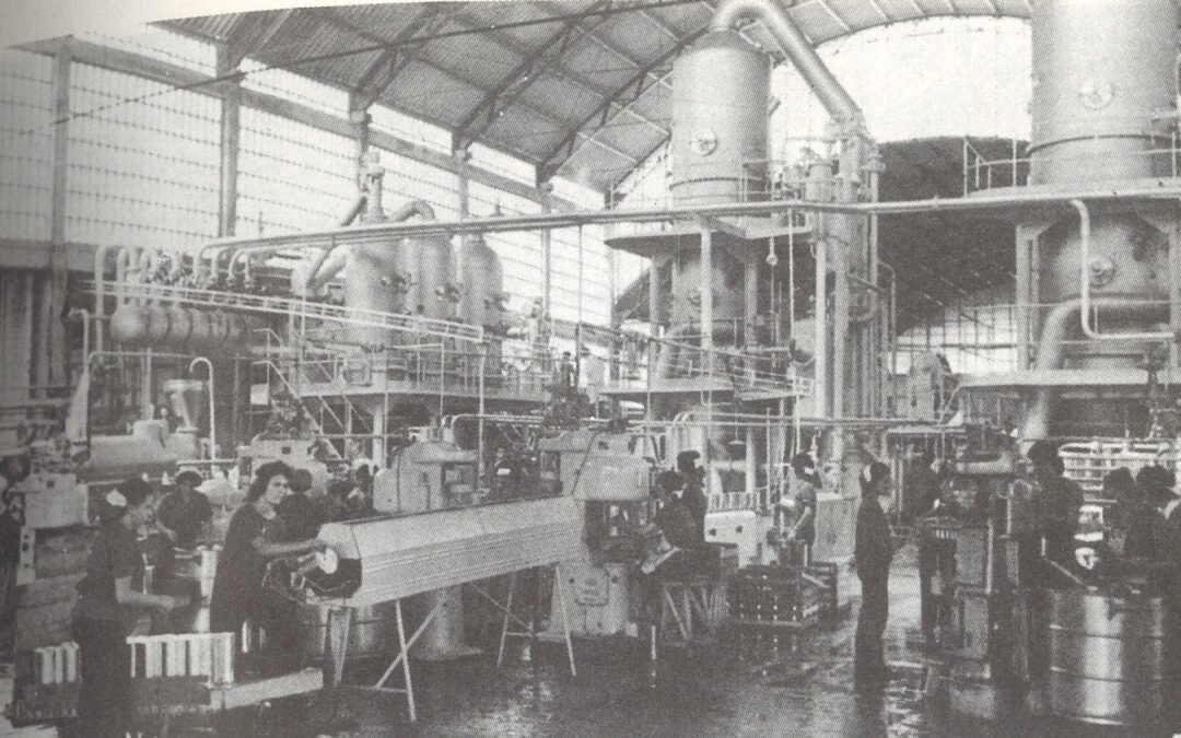 A propósito del Día Internacional de la Mujer