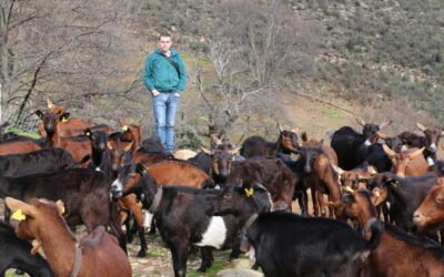 LA LABOR DE UN CRONISTA