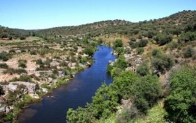 Presencia de microplásticos en los ríos extremeños