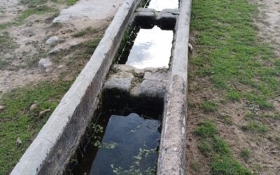 LA FUENTE DE LA MIMBRE