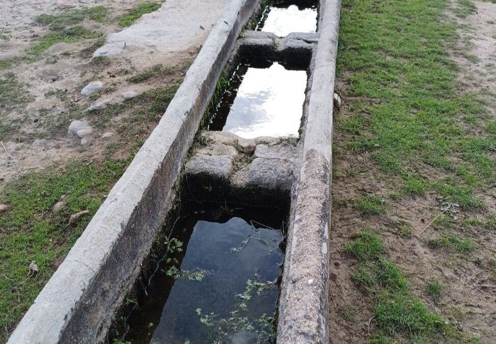 LA FUENTE DE LA MIMBRE