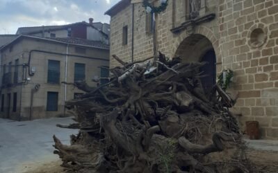 Las fiestas de mayo en Tornavacas cargadas de historia y tradición: el “Ya Tornan”, la “Noche del Fuego ” y el Día de la Cruz.