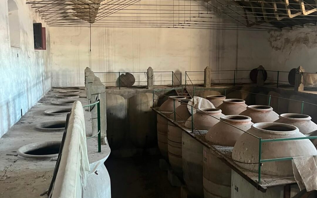 Montijo. La bodega de Modesto Porras Calderón