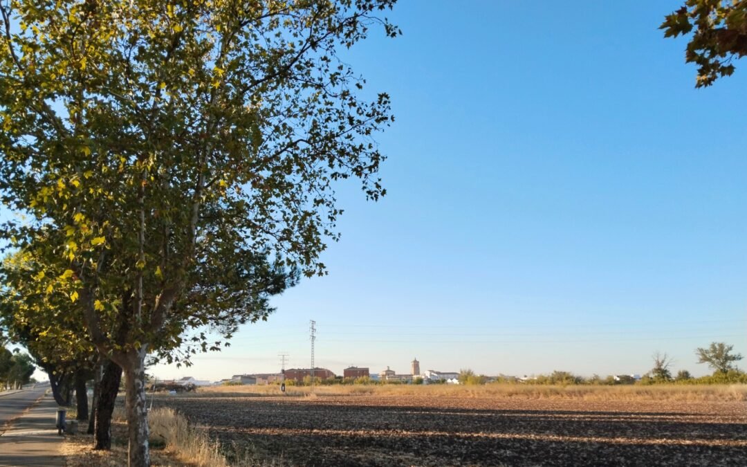 El otoño abre sus puertas