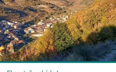 El castaño: el árbol que, durante siglos, pobló las laderas y campos del Jerte